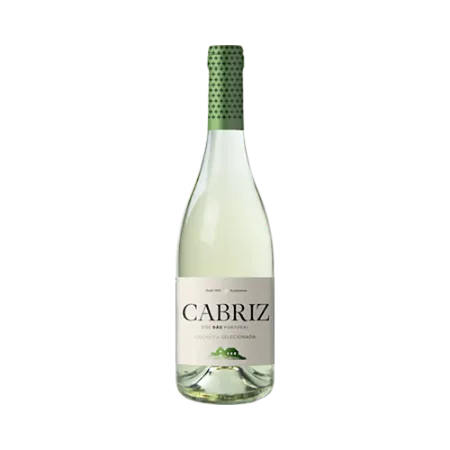Bild von Cabriz - Weißwein